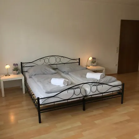 Apartment Gaestehaus Steinmann 2 *